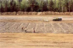 Infiltration Beds during Construction Phase - You may click on the image to view a larger size.